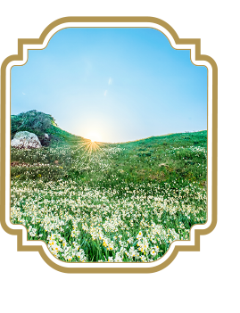 セラピストついて