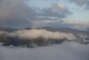 アロマ雲海